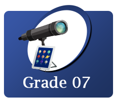 Grade 7